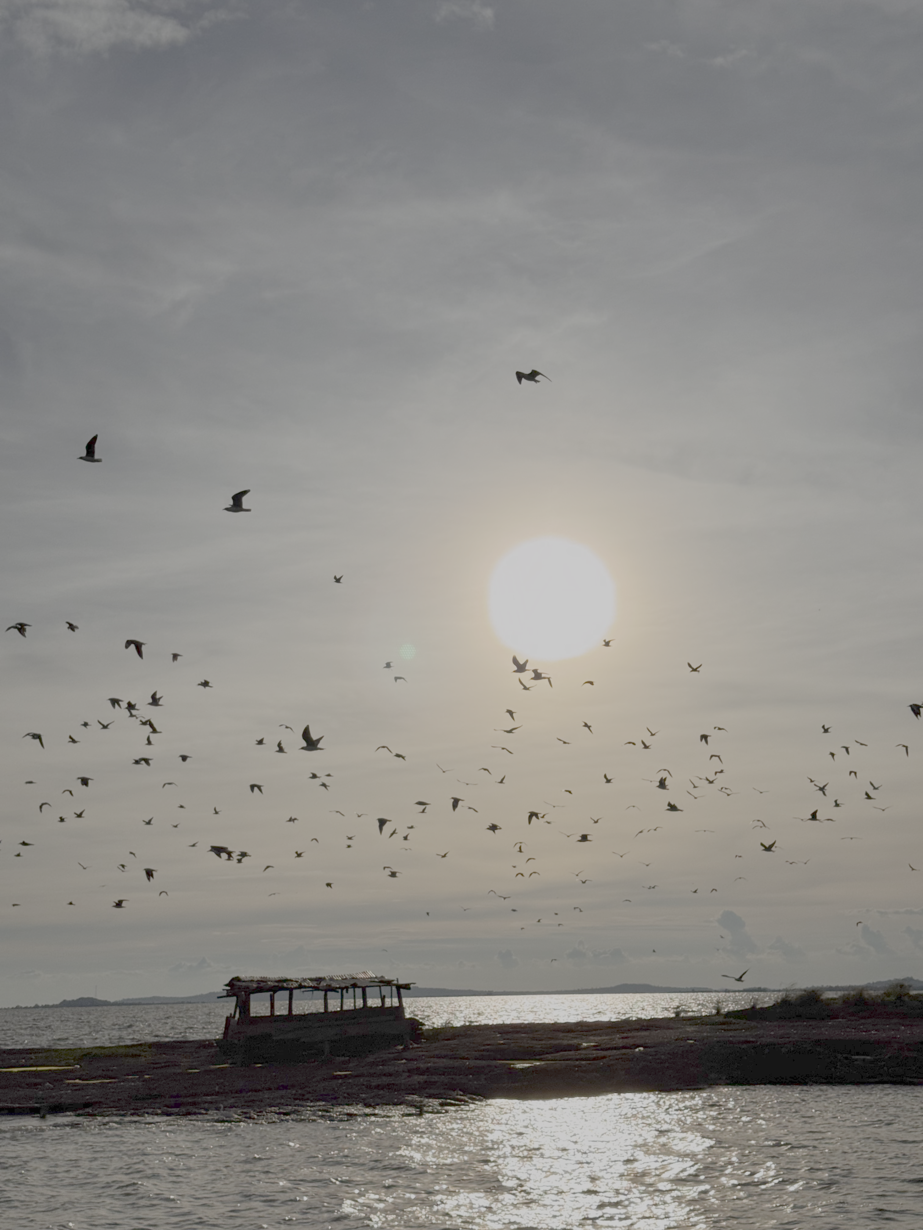 Photo prise en Ouganda